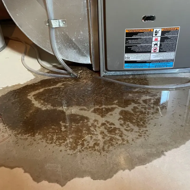 Pipe Burst and Leak Restoration in Midvale, UT