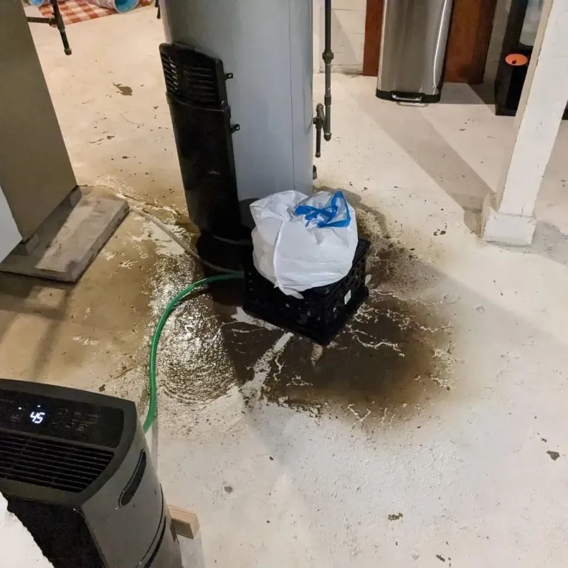 Sewage Backup Cleanup Service in Midvale, UT